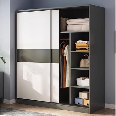 Tủ áo 2 cánh lùa đơn giản hiện đại TA-001